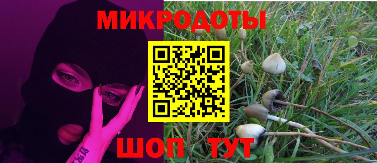 Заводоуковск  хочу наркоту  Вход с VPN  Псилоцибиновые грибы MAGIC MUSHROOMS 